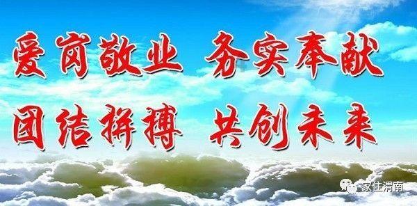 金牌保镖熊先生